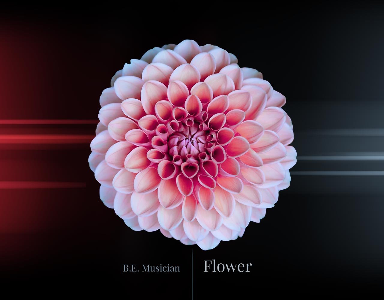 Home Musician Portfolio1